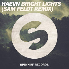 Bright Lights (Sam Feldt Remix) - HAEVN, Sam Feldt