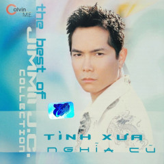 Tình Như Lá Bay Xa 2 - Jimmii Nguyễn