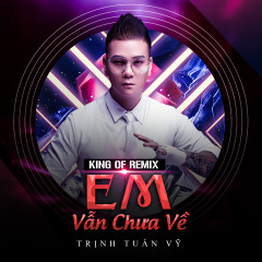 Em Vẫn Chưa Về (Remix) - Trịnh Tuấn Vỹ