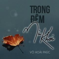 Trong Đêm Mù Khơi - Võ Hoài Phúc