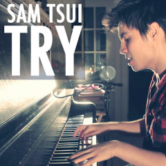 Try (Acoustic Version) - Sam Tsui