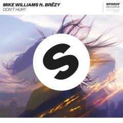 Don't Hurt - Mike Williams, Brezy