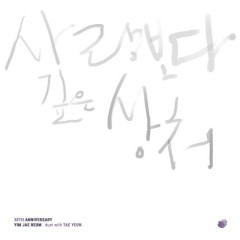 Scars Deeper Than Love - Yim Jae Bum, TAEYEON