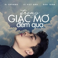 Trong Giấc Mơ Đêm Qua (Acoustic Version) - Lê Việt Anh, Bảo Trâm