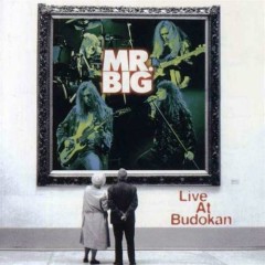 Medley_ Bass Intro _ Had Enough _ Big Love _ Take A Walk _ Merciless - Mr. Big