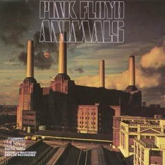 Dogs - Pink Floyd