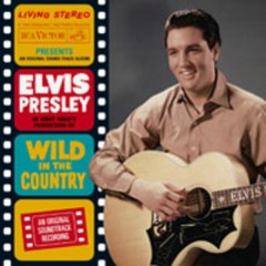 In My Way - Elvis Presley