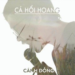 Cánh Đồng (Alternate Version) - Cá Hồi Hoang