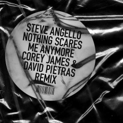 Nothing Scares Me Anymore (Corey James & David Pietras Remix) - Steve Angello, Sam Martin