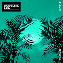 Flames (Acoustic) - David Guetta, Sia