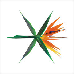 Ko Ko Bop - EXO