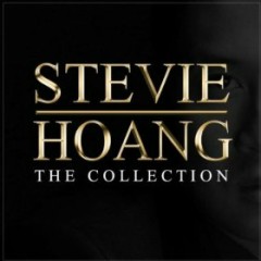 Before You Break My Heart - Stevie Hoang