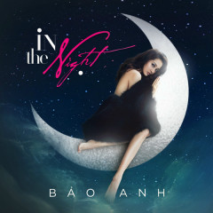 In The Night - Bảo Anh