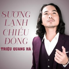 Chuyện Tình Không Suy Tư - Triệu Quang Hà