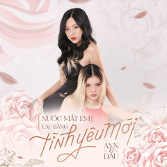 Nước Mắt Em Lau Bằng Tình Yêu Mới (Cover) - ANN, Dâu