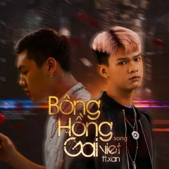 Bông Hồng Gai (Beat) - Như Việt, XAN