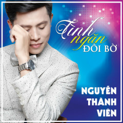 Trang Nhật Ký - Nguyễn Thành Viên