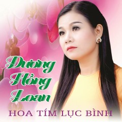 Mưa Rừng - Dương Hồng Loan