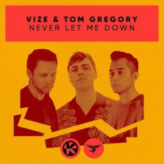 Never Let Me Down - VIZE, Tom Gregory