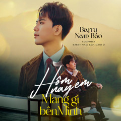 Hôm Nay Em Mang Gì Bên Mình - Barry Nam Bảo