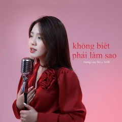 Không Biết Phải Làm Sao - Dương Lan Nhi, ViAM