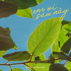 Em Ơi Sau Này (2024 version) - Trid Minh
