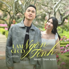 Làm Gì Có Ngôn Tình - Nhật Tinh Anh