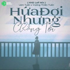 Hứa Đợi Nhưng Chẳng Tới (Lofi) - Lâm Tuấn, Vương Thiên Tuấn, HHD