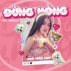 Đừng Hòng (SS Remix) - Ngô Trúc Linh