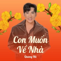 Tết Này Con Sẽ Về - Quang Hà