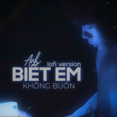 Anh Biết Em Không Buồn (Lofi Version) - Duongg